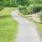 Walking path surrounded by trees on both sides. 