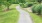 Walking path surrounded by trees on both sides. 